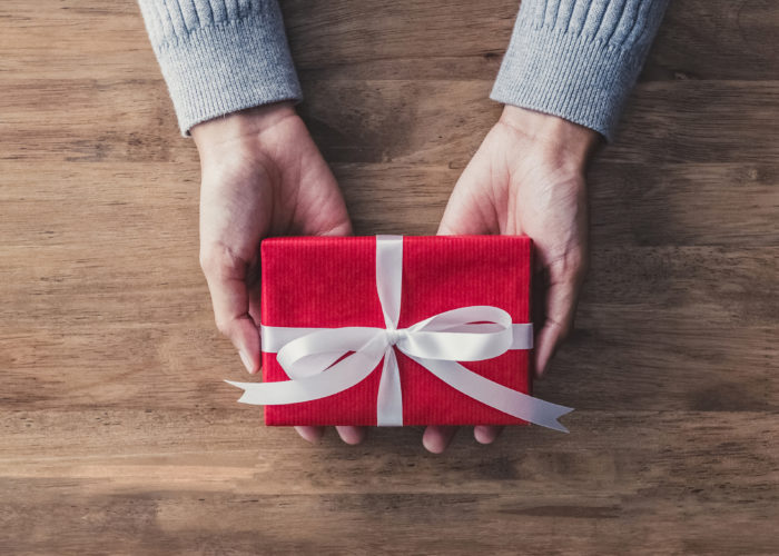Close-up of person's hands presenting a wrapped gift