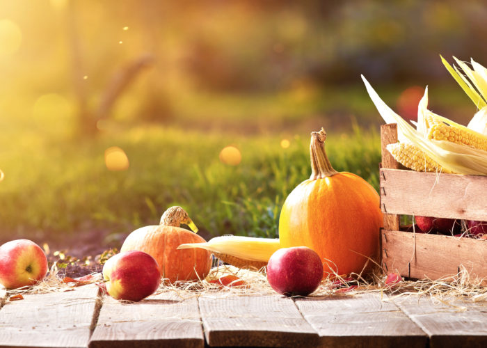 Wooden crate of corn, pumpkins, and apples on a sunny day