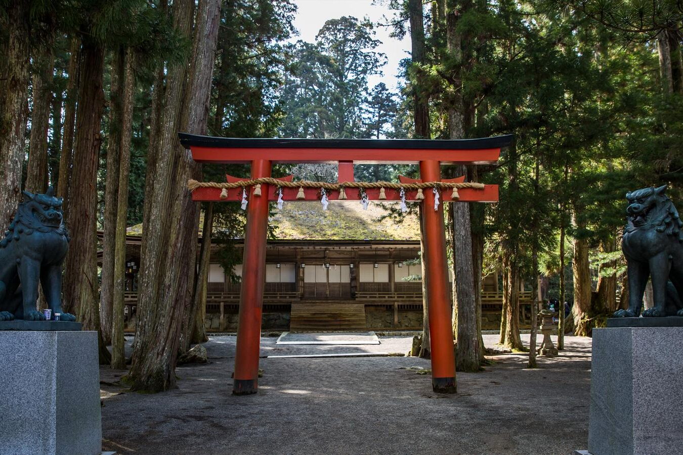 Entrance to a shrine in Japan